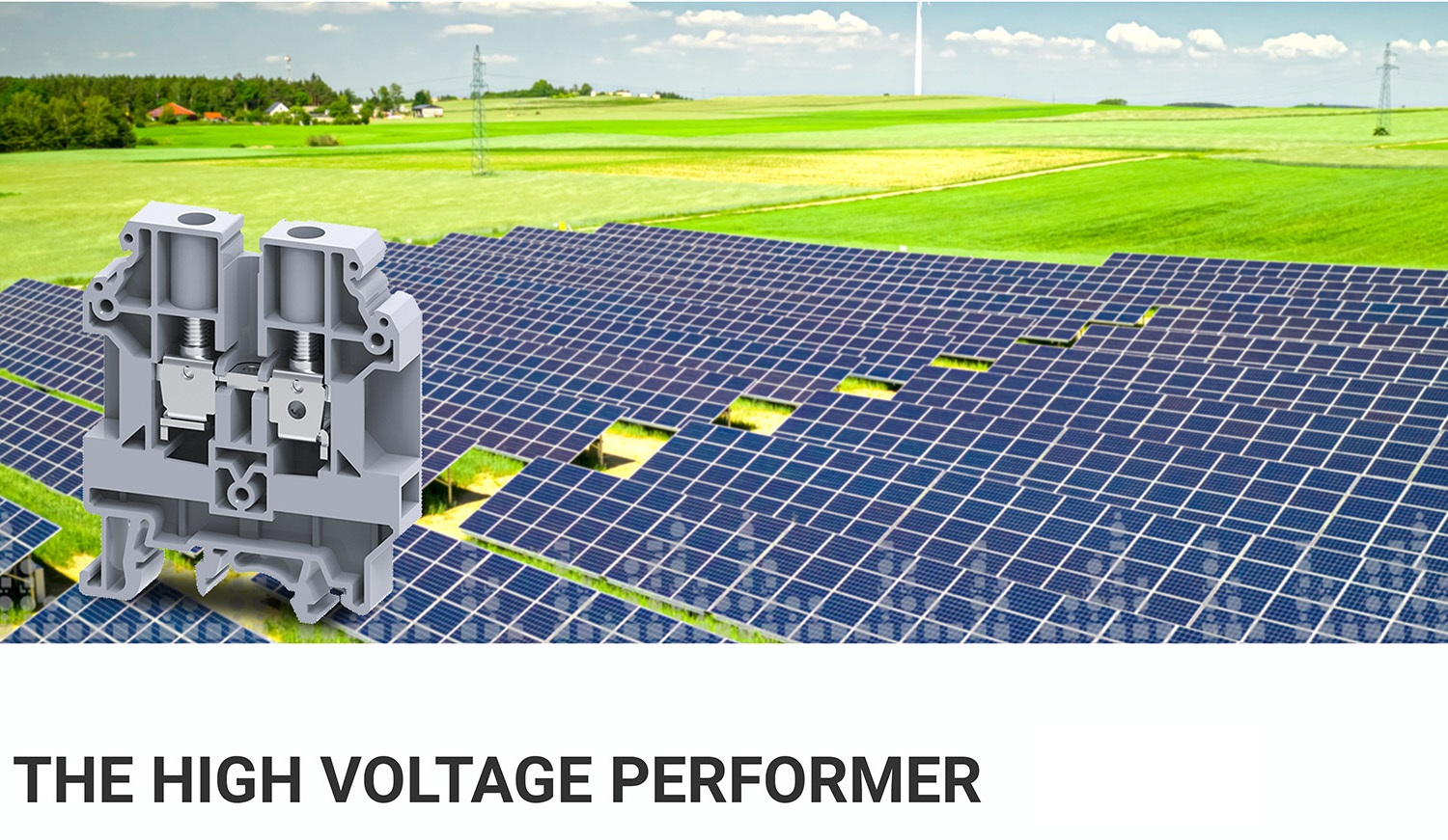 1751266119630028.jpg ImageGen.jpg